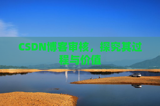 CSDN博客审核，探究其过程与价值