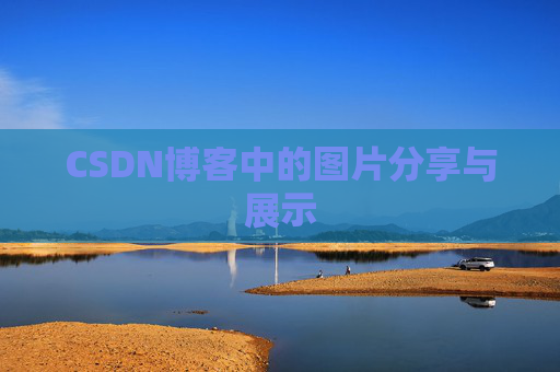 CSDN博客中的图片分享与展示